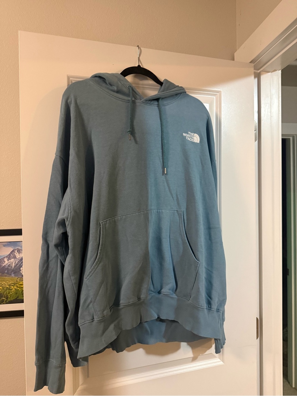 The North Face Men's Dusty Blue Pullover Hoodie
